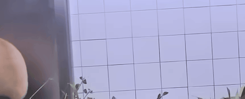 ScreenToGif result